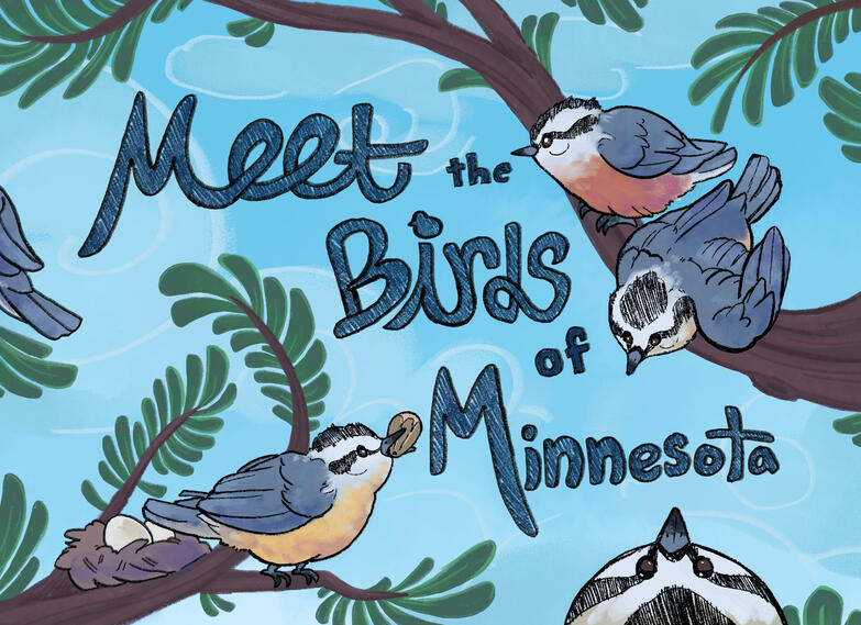 Collabrative bird book cover, 8.25 x 6