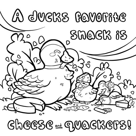 Coloring book page: Ducks, 8 x 8